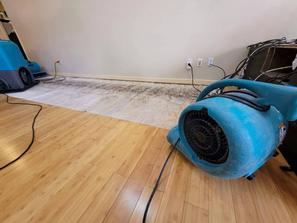 Professional Flood Damage Cleanup technician working in Snover, MI